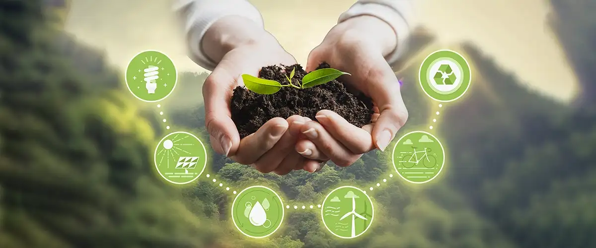 Shapoorji Pallonji Treetopia Pune