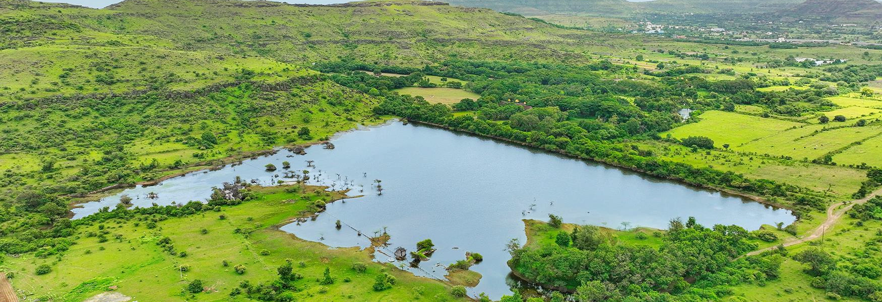 SP Treetopia Land Area