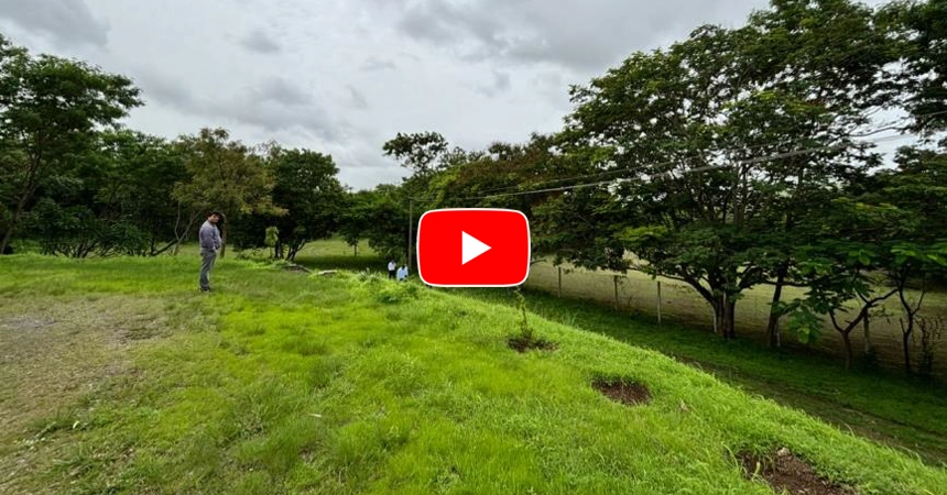 SP Treetopia Pune Video Thumbnail 01