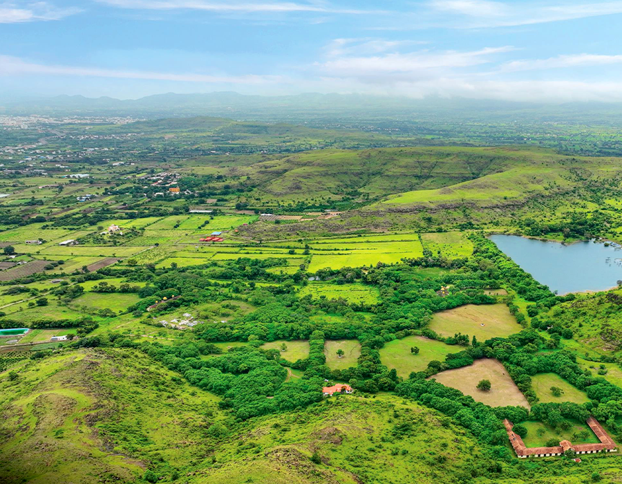 Treetopia Pune Mobile Banner 1