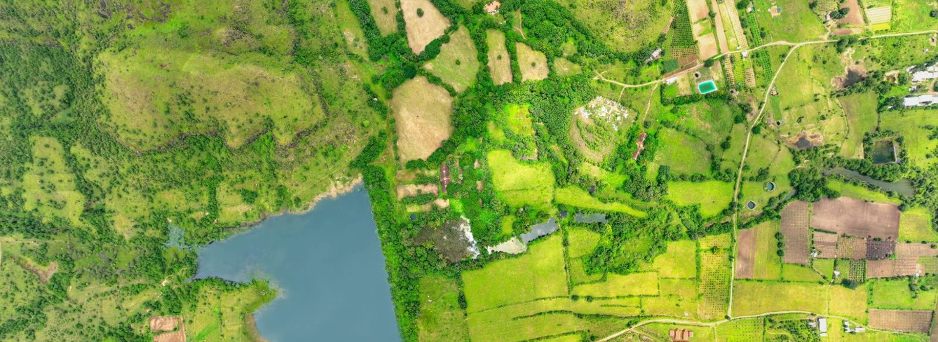 Treetopia Pune Banner 2